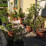 Senka