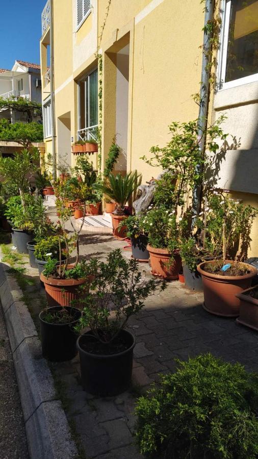 Senka Apartment