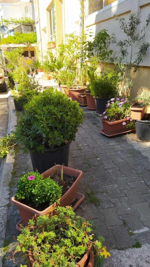 Apartment Senka Budva